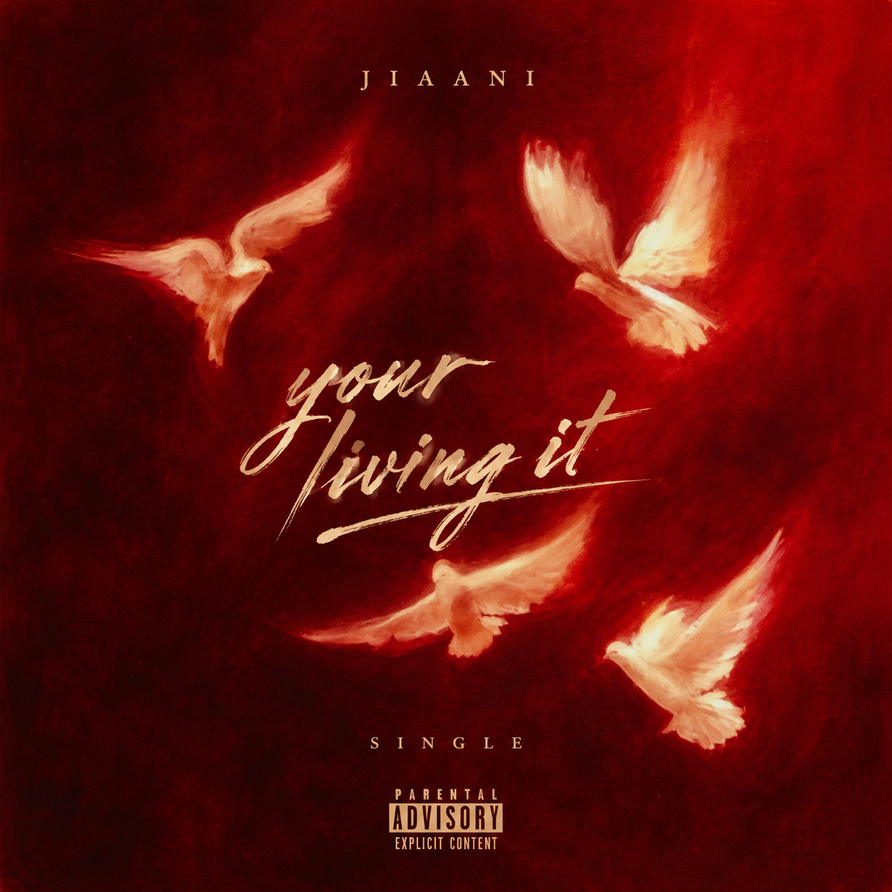 Your Living it  - Jiaani (Download)