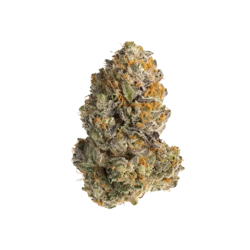 Applescotti Flower