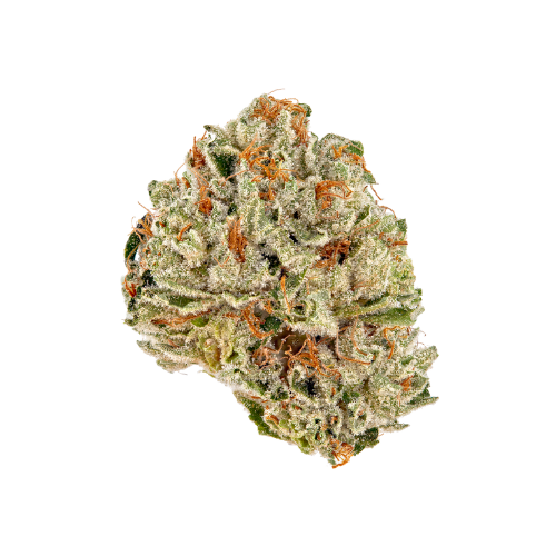 Sour Lemon Flower